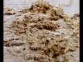 Climate changes: Salamie\ Climate changes: Salamie\