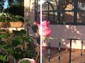 GIANFERRANTE FARMHOUSE & COUNTRY INN SICILY