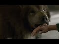 Trailer (Saison 1)