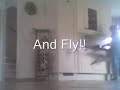 Silverlit PicooZ/PiccoZ/PicoZ - Extended Wings MOD