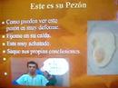 este weon no se sabe lo que es.....en el video la teoria de lo q podria ser.....ojala les guste