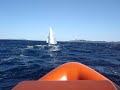 downwind 2.4mr ned 11,12 downwind 2.4mr ned 11,12