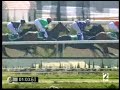 2008 (49) VIII MIJAS CUP (Categor�a A) (SKY CRUSADER)