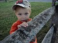 Amazing Cow PEE PEE Video!