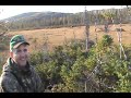 Moose hunting newfoundland 2010