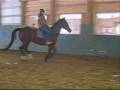 Cantering Jack Cantering Jack