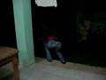 videos de Tarantula in the Dominican Republic