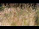 KATE RUSBY - MY MUSIC PART 4 KATE RUSBY - MY MUSIC PART 4