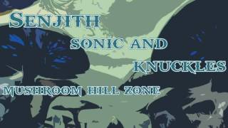 Remix De Mushroom Hill Zone