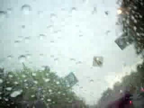 taylorr rain