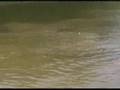 Brian's Fishingpole Rescue