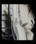 Hombres G - Nassau