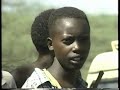 wrc safari rally 2001