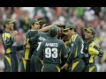 cricket love song - foto 3