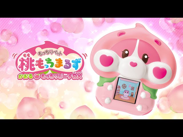 もっちりペットもっちまるず ぷにっとにゃんこ｜セガ フェイブ