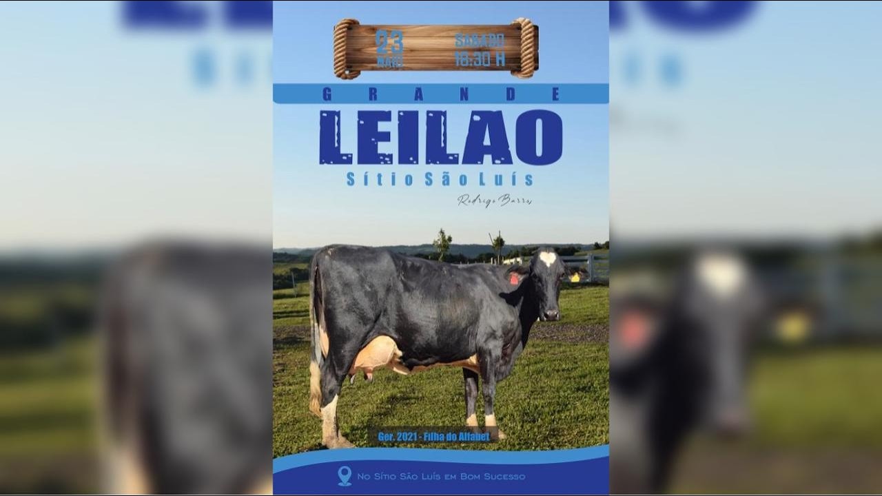 GRANDE LEILÃO SÍTIO SÃO LUÍS - RODRIGO BARROS - BOM SUCESSO/MG - 23/05/26