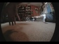 Video test for Opteka Platinum Series 0.3X fisheye (baby death)