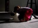 proof that Pounce is the best cat in the world