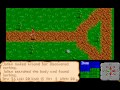 faery tale adventure is a real time rpg where three brothers have to find a talisman for some reason. there are stats, money, finding items, killing randomly encountered monsters and all the typical fantasy rpg fare. you control one of them at a time, even though it seems to me that it would be better to go together. combat is a little clunky and i got killed frequently, but i think after some practice it could be a most enjoyable game. faery tale adventure on moby games: www.mobygames.com 