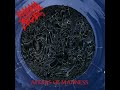 morbid angel   damnation