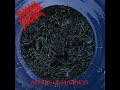 morbid angel   damnation