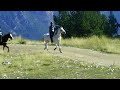 II Raid alta muntanya de cavalls a Sant Lloren� de Morunys