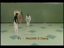 TKD Palgwe Forms DVD Sample 2 TKD Palgwe Forms DVD Sample 2