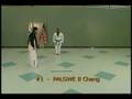 TKD Palgwe Forms DVD Sample 2