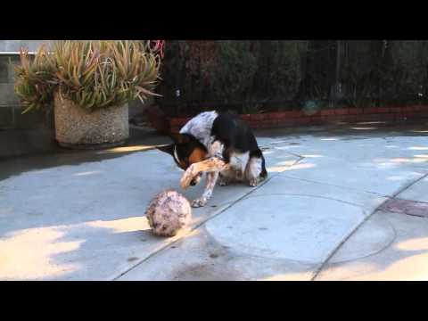 how to cure jumpiness