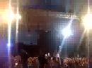 wild strawberries   pnau  live 
