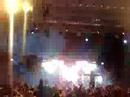 wild strawberries   pnau  live 
