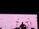 wild strawberries   pnau  live 