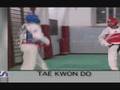 videos de Tae-Kwon-Do Athletic School Tigullio (CSI Chiavari)