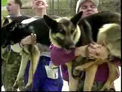 K9 - Connecticut State Police K9 Academy.