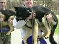 Connecticut State Police K9 Academy