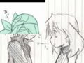 Hoennshipping - I Can\