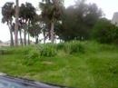 ELECTRIC POWERED MOWER KICKS GRASS ELECTRIC POWERED MOWER KICKS GRASS