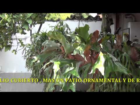 Guillermo Ortiz - INF. 6662866-3122760824 AL NORTE DE CALI CERCA A CHIPICHAPE CASA DE DOS PLANTAS CON PATIO GRANDE Y UN ARBOL, ALCOBAS GRANDES, SITIO MUY TRANQUILO JUNTO A LA ...