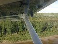 Treetop Flyer