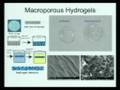 Engineering Angiogenesis Following Spinal Cord Injury
