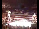 wwe en el salvador 2
