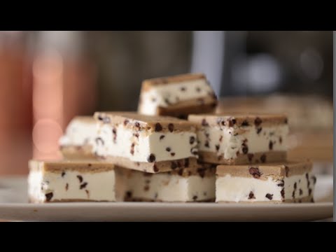 Chocolate Chip Ice Cream Sandwich