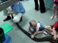 Snake gets a check up for missing cat Snake gets a check up for missing cat