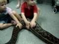 Snake gets a check up for missing cat