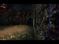 Killing Floor Berserker reaching level 6