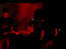Red Sparowes