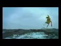 See delightful animated birds celebrate the opening of the 