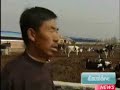 Sono 13mila i bambini ricoverati e 40mila quelli trattati ambulatorialmente. Finora quattro i neonati morti. Nestle' ritira il suo 'Dairy Farm' dalla vendita a Hong KongSono 53mila i casi di bambini intossicati dal latte contaminato in Cina. Il dato e' stato reso noto dal ministero della Sanita' di Pechino, spiegando che 13mila bambini sono stati ricoverati dopo aver assunto il prodotto, mentre altri 40mila sono stati trattati ambulatorialmente. Lo riporta la 'Cnn' sul suo sito.Da quando e' scoppiato lo scandalo del latte alla melamina, sono quattro i neonati morti. Nei giorni scorsi, gli esperti hanno trovato tracce della sostanza tossica anche nel latte fresco e a lunga conservazione prodotto da tre grandi societa' cinesi, mentre ieri e' finito nell'occhio del ciclone anche il Nestle' Dairy Farm Pure Milk venduto a Hong Kong. Così, oggi, la multinazionale ha annunciato di aver ritirato il suo latte Dairy Farm dal commercio a Hong Kong su richiesta delle autorita', dopo che erano state rilevate tracce di melamina. Il gigante alimentare assicura tuttavia che il suo 'Dairy Farm UHT Pure Milk', destinato agli adulti e non ai bambini, non e' prodotto a partire dal latte contaminato in Cina. ''La melamina può essere trovata in quantita' minuscole nella catena alimentare in tutto il mondo. Le tracce riscontrate non comportano alcun rischio per la salute dei consumatori'', ha assicurato all'agenzia di stampa elvetica Ats il portavoce di Nestle' Robin Tickle, precisando che le tracce accertate sono di un livello 25 volte inferiore al limite imposto dall'Unione europea (Ue).Il Centro per la sicurezza alimenatre (Centre for Food Safety, CFS) di Hong Kong aveva riferito ieri di aver scoperto della melamina nel Dairy Farm e di aver ordinato il ritiro del latte dalla vendita. ''Dato il basso livello riscontrato, un consumo normale non pone problemi rilevanti di salute'', tuttavia non e' consigliabile nutrire bambini piccoli con questo prodotto, aveva indicato il portavoce del Centro.Intanto, il premier cinese Wen Jiabao ha promesso l'adozione di controlli piu' severi per tutelare la salute dei consumatori nel Paese. 