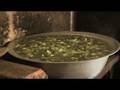 Little clip: Yunnan trip with GreenField Foundation