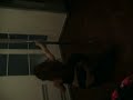 [video-image]